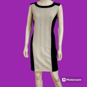 3/$30 ENFOCUS 1990s Monochrome Color Block Silhouette Sleeveless Tank Dress